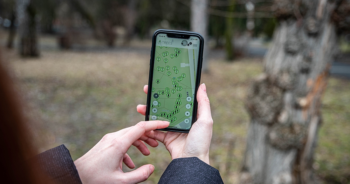Mobiltelefonos alkalmazással ellenőrzik, hogy a személyi igazolványban szereplő adatok igazak-e